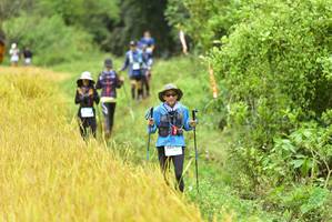 BIB: 
                            <button type="button" onclick="openModal(13436289)" class="btn btn-primary btn-sm float-right btn-popup" data-toggle="modal" data-target=".modal-high-quality">
                        <i class="fas fa-shopping-cart"></i> Add to Cart
                    </button>
                                            <button type="button" onclick="isThisMe(13436289, true)" class="btn btn-success btn-sm float-right btn-popup btn-isme hidden" data-toggle="tooltip" data-placement="bottom" title="นี่คือรูปของคุณใช่ไหม คลิกที่นี่เพื่อเอาเข้าอัลบั้ม">
                        <i class="fas fa-plus"></i> Add to album
                    </button>
                    <button type="button" onclick="isThisMe(13436289, false)" class="btn btn-warning btn-sm float-right btn-popup btn-isnotme hidden">
                        <i class="fas fa-ban"></i> Remove from album
                    </button>